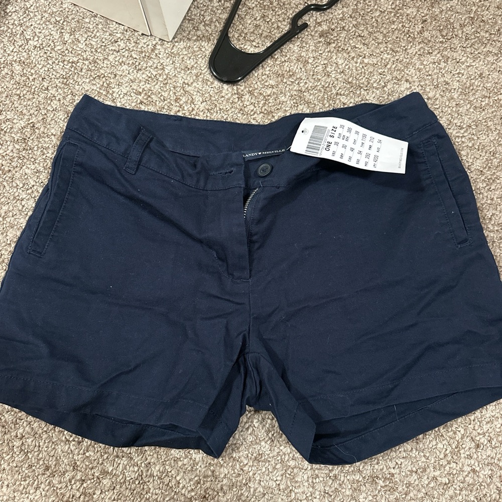 Brandy Melville blue shorts, nwt